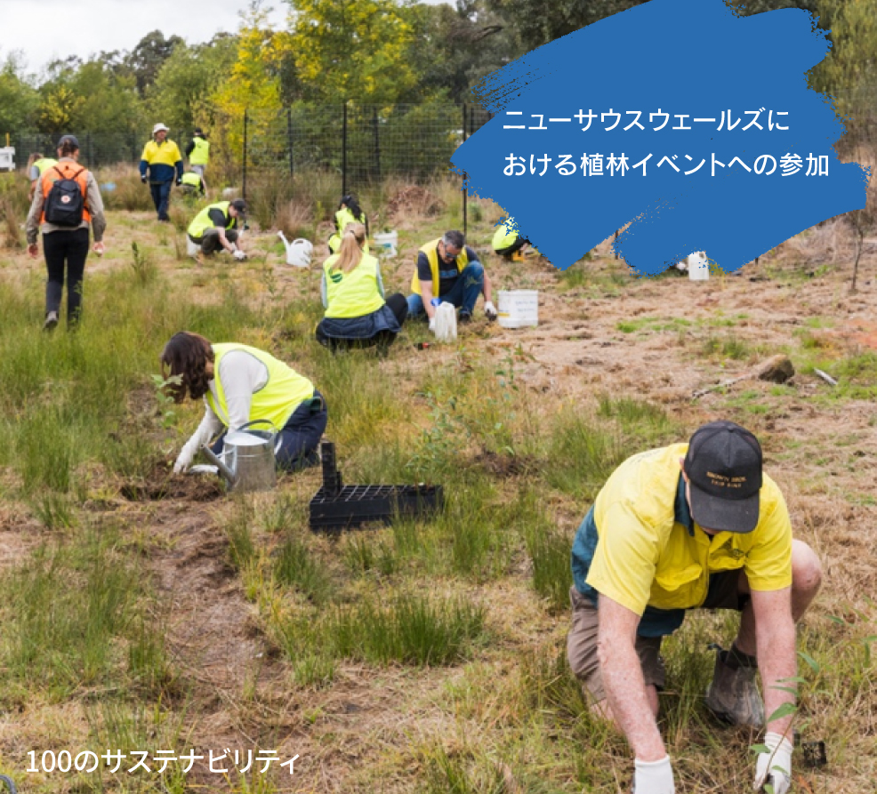 エピソード31（ニューサウスウェールズにおける植林イベントへの参加_スパイサーズ ニューサウスウェールズ）