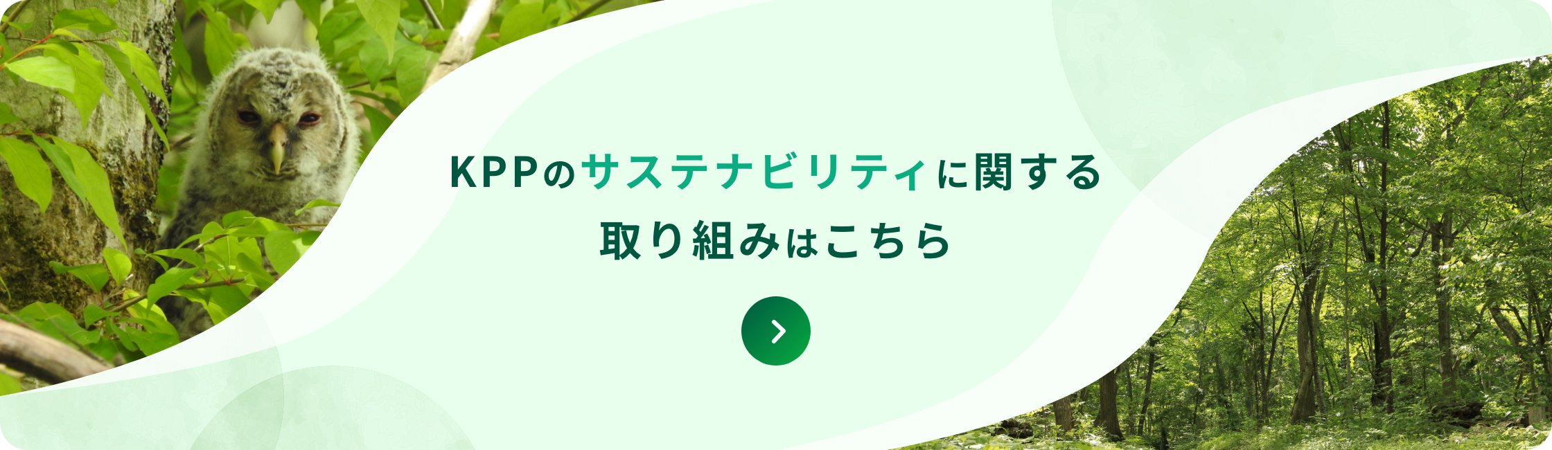 「KPPのサステナビリティ 取り組みはこちら」のバナー画像